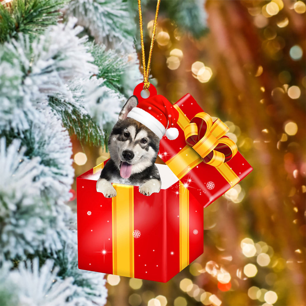 Alaskan Malamute In Red Gift Box Christmas Ornament