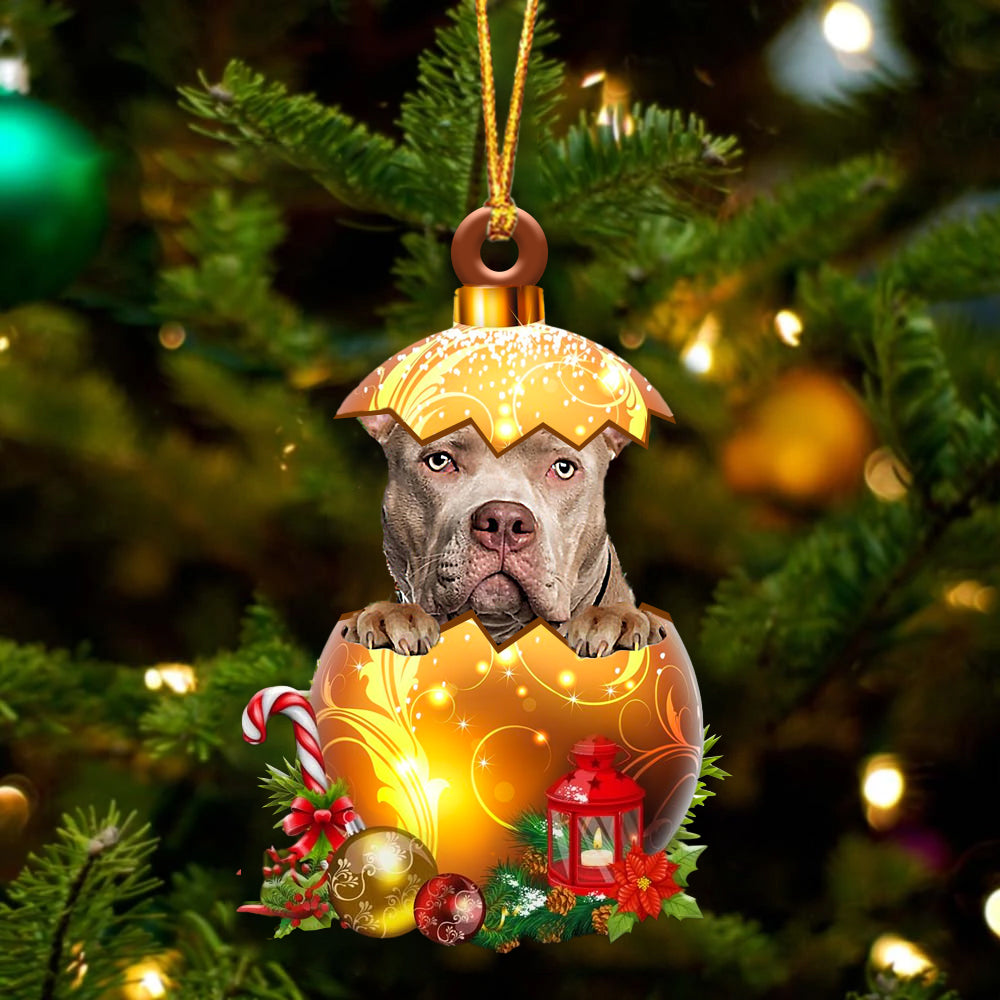 American Bully In Golden Egg Christmas Ornament