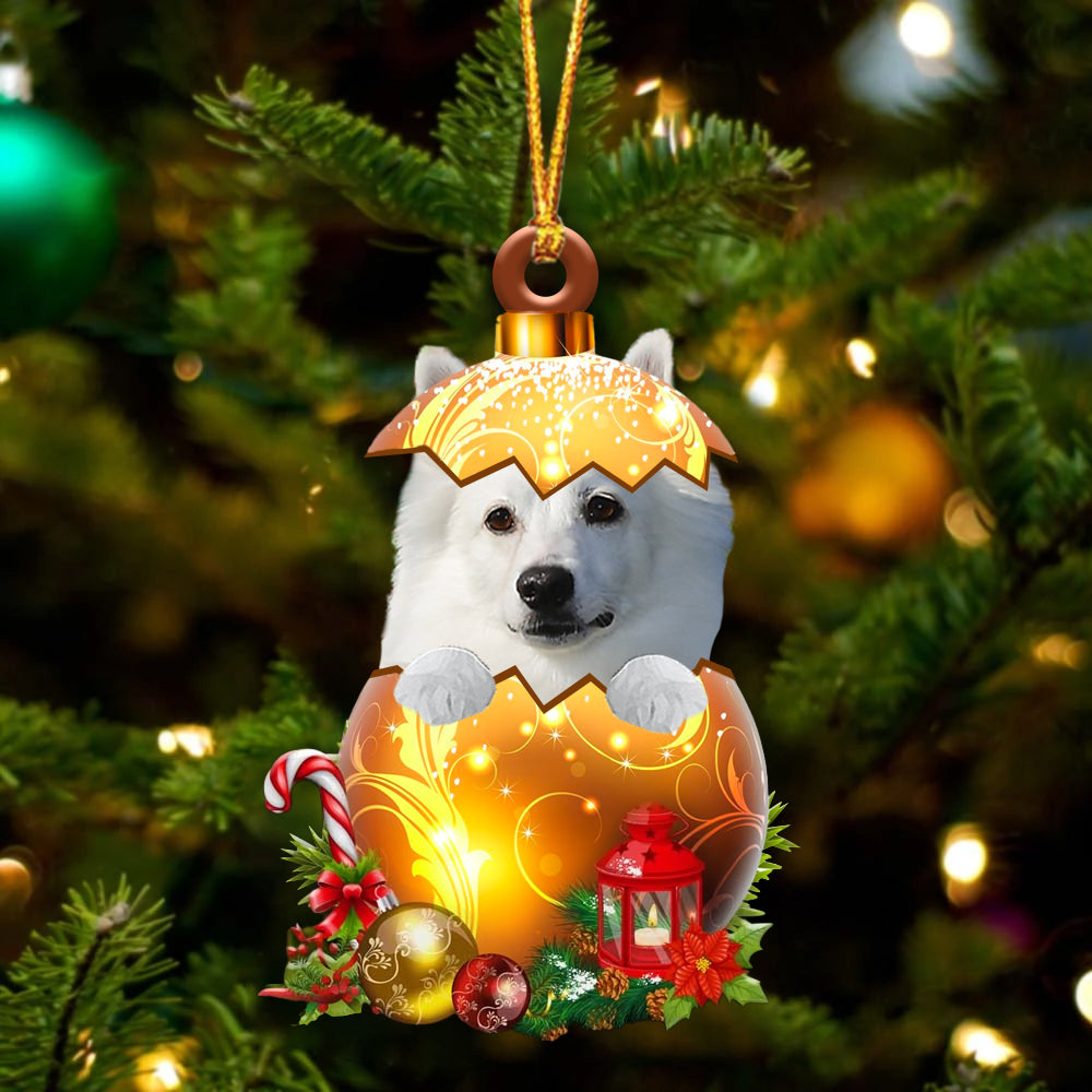 American Eskimo In Golden Egg Christmas Ornament