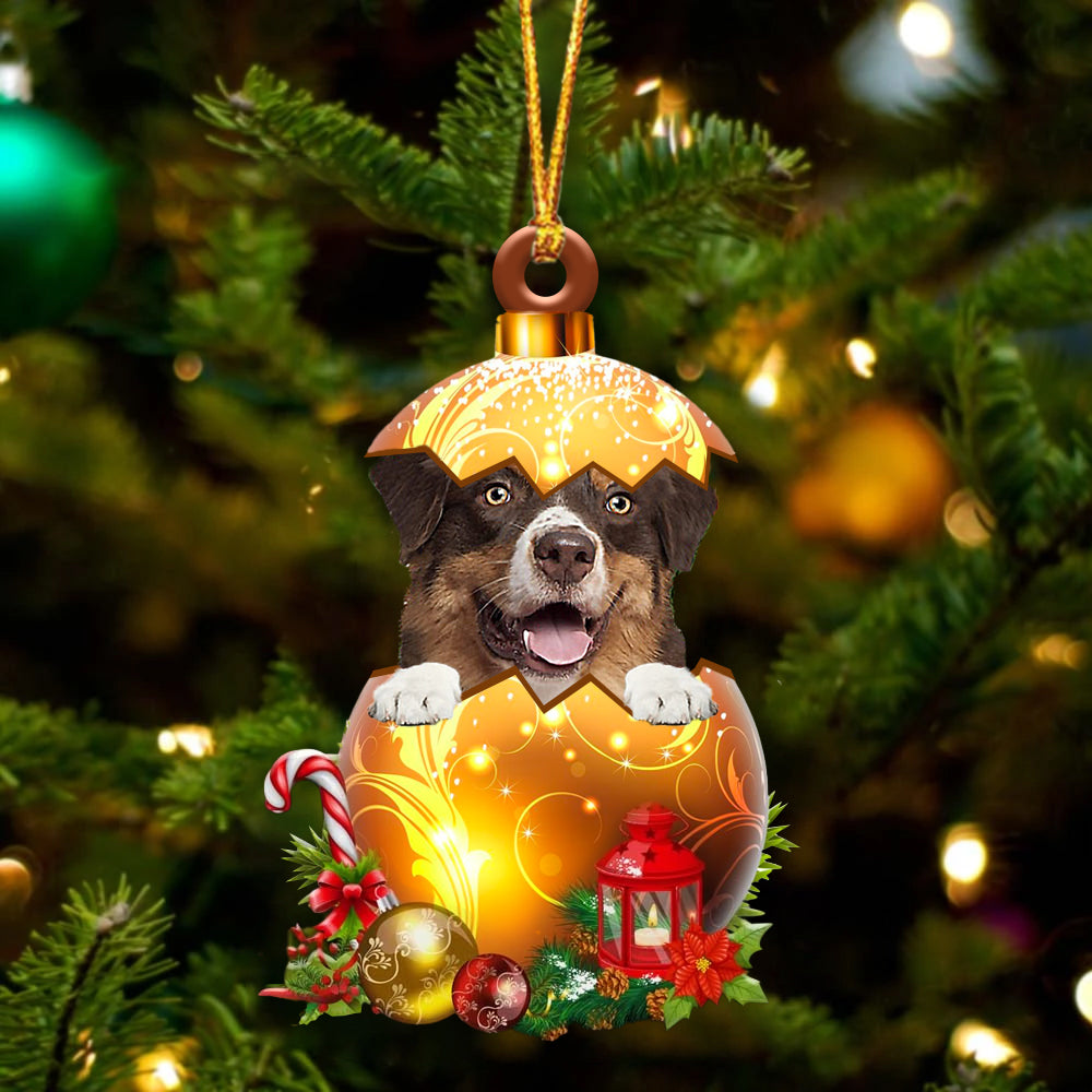 Australian Shepherd In Golden Egg Christmas Ornament