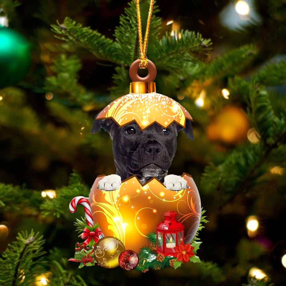 BLACK American Staffordshire Terrier In Golden Egg Christmas Ornament