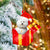 Bichon Frise03 In Red Gift Box Christmas Ornament