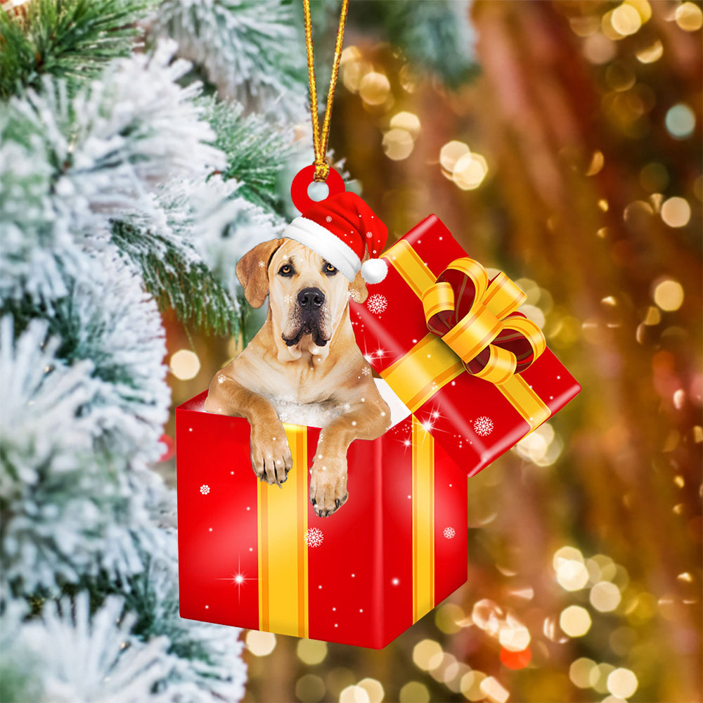 Boerboel In Red Gift Box Christmas Ornament