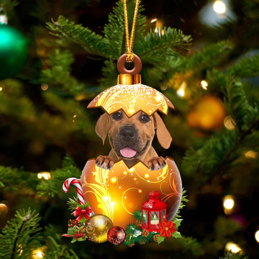 Boerboel In Golden Egg Christmas Ornament