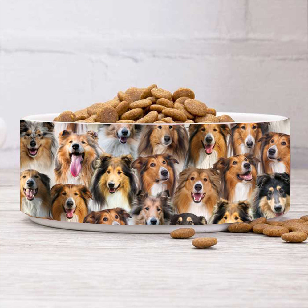 A Bunch Of Rough Collies Bowl