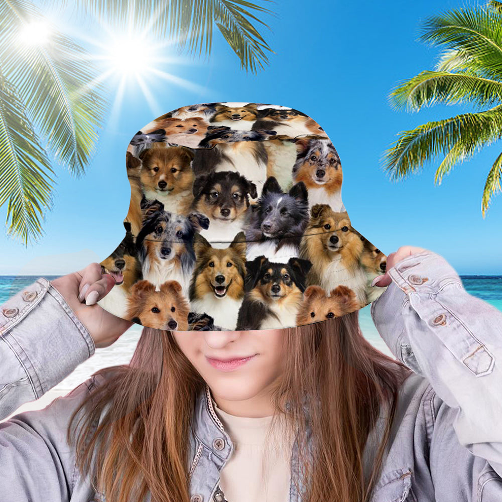 A Bunch Of Shetland Sheepdogs Bucket Hat