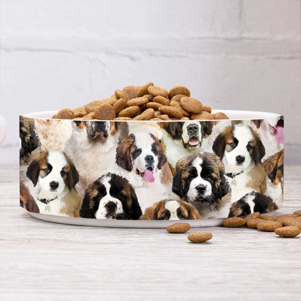 A Bunch Of St. Bernards Bowl