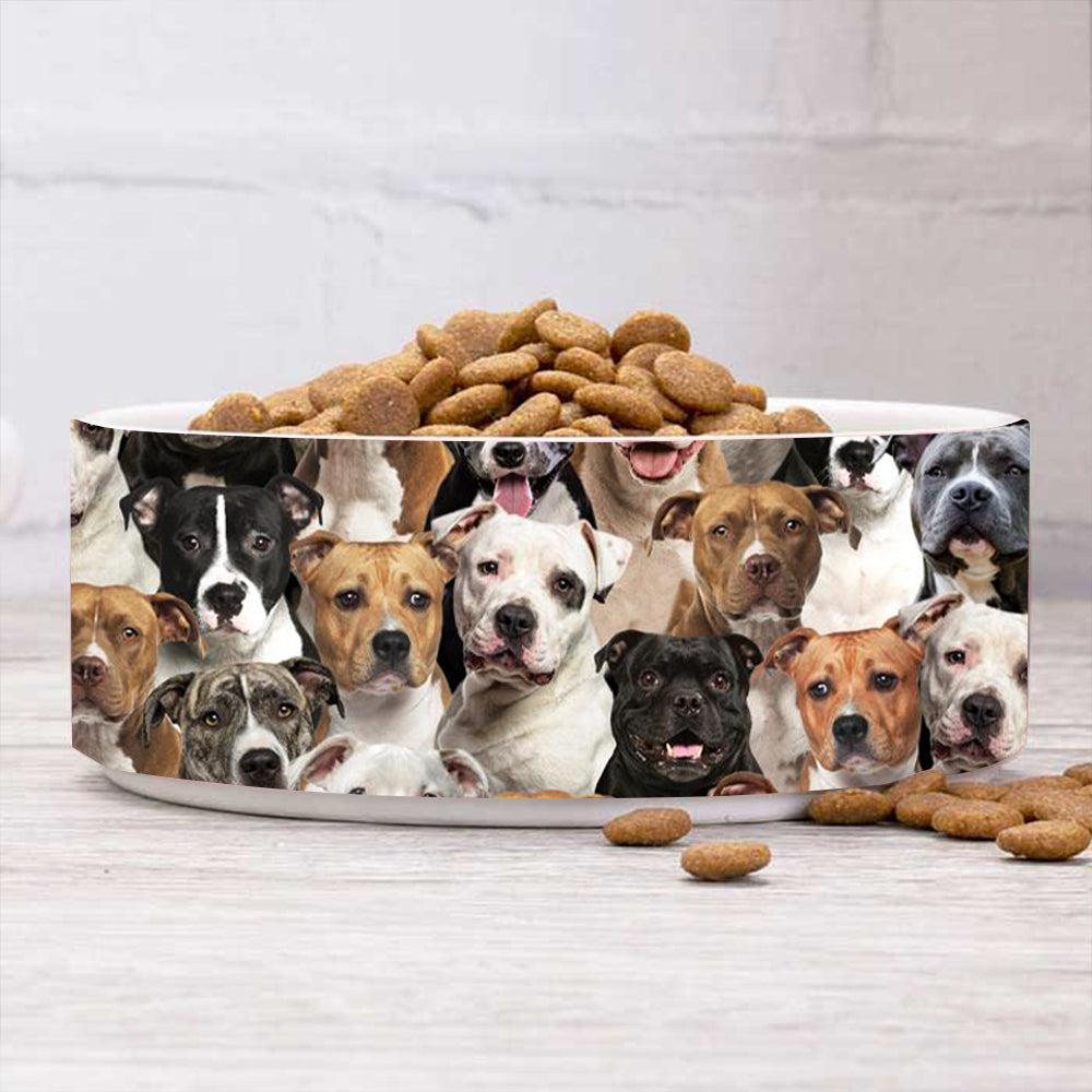 A Bunch Of Staffordshire Bull Terriers Bowl