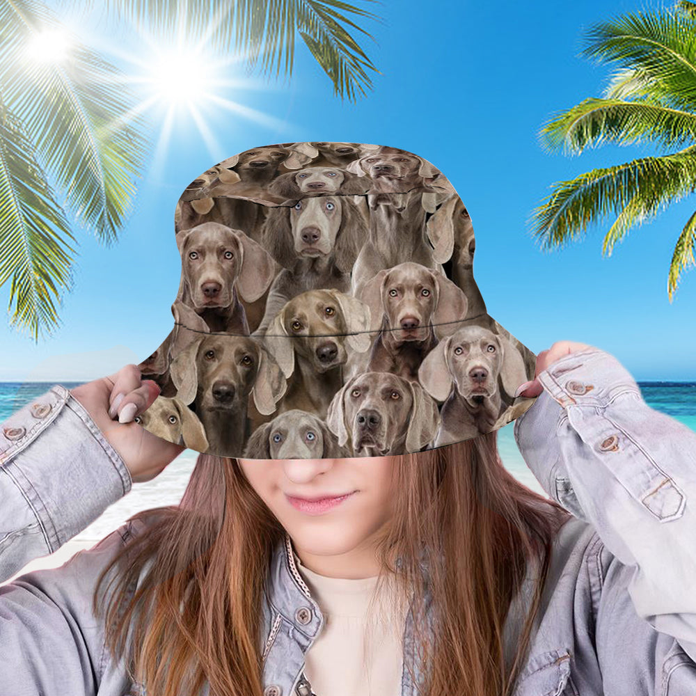 A Bunch Of Weimaraners Bucket Hat