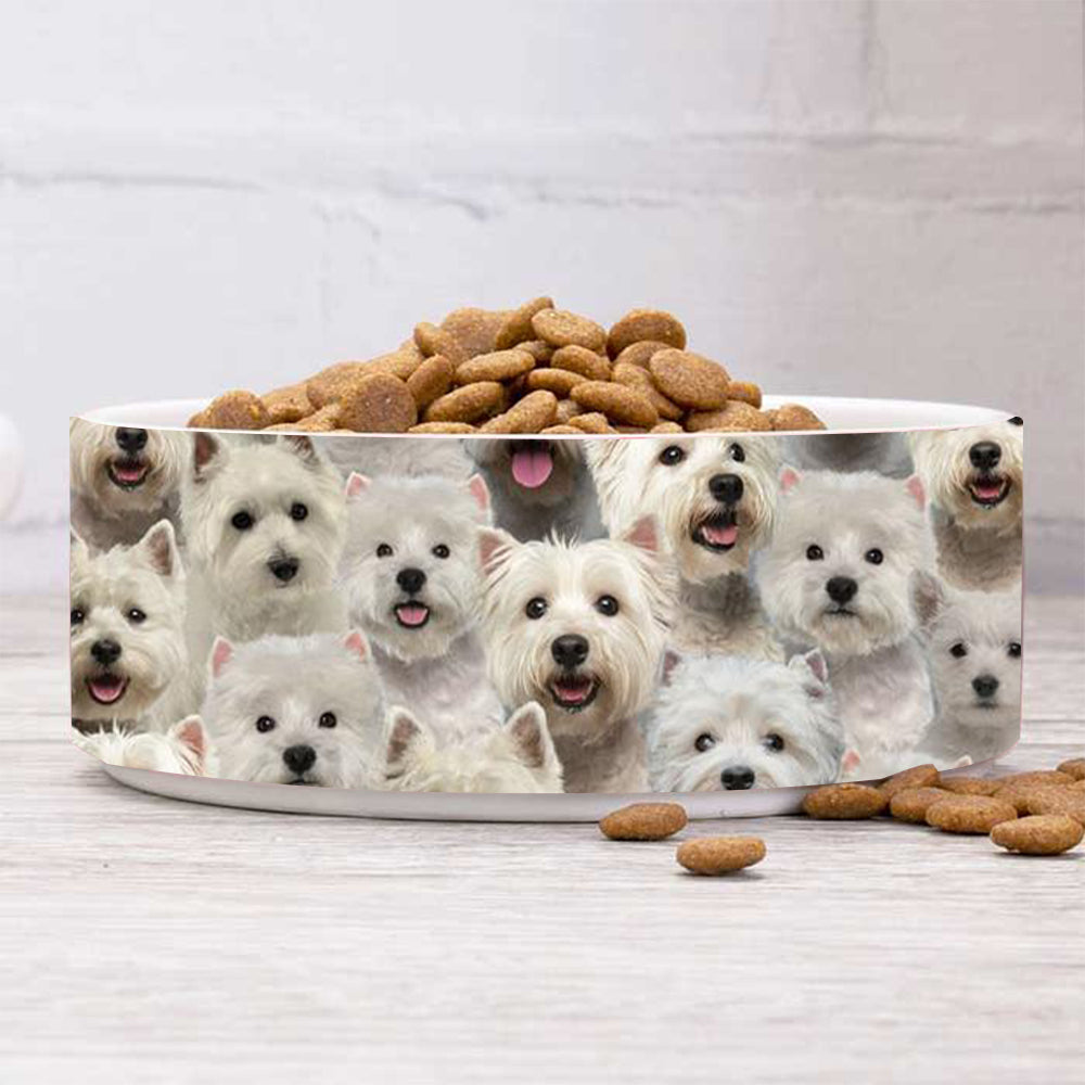 A Bunch Of West Highland White Terriers Bowl