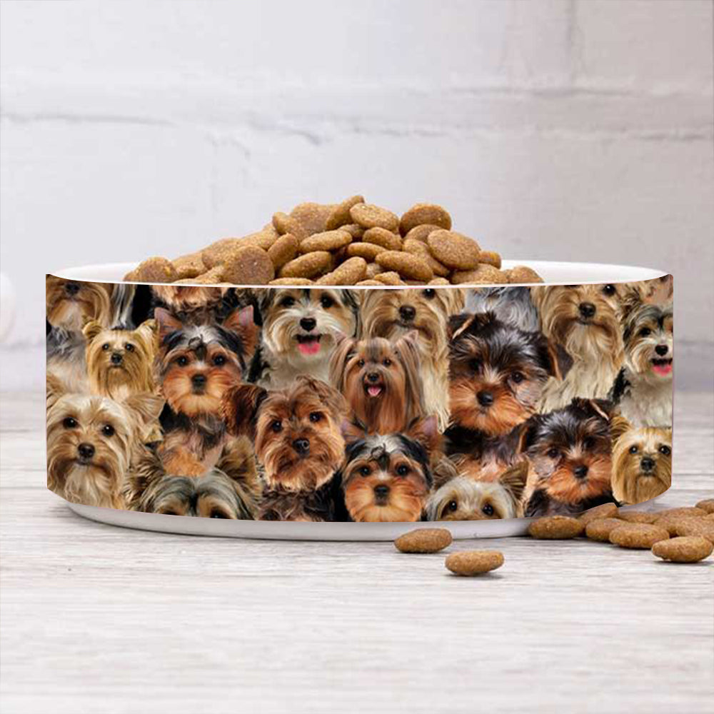 A Bunch Of Yorkshire Terriers Bowl